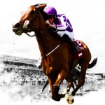 choosing a horse racing site