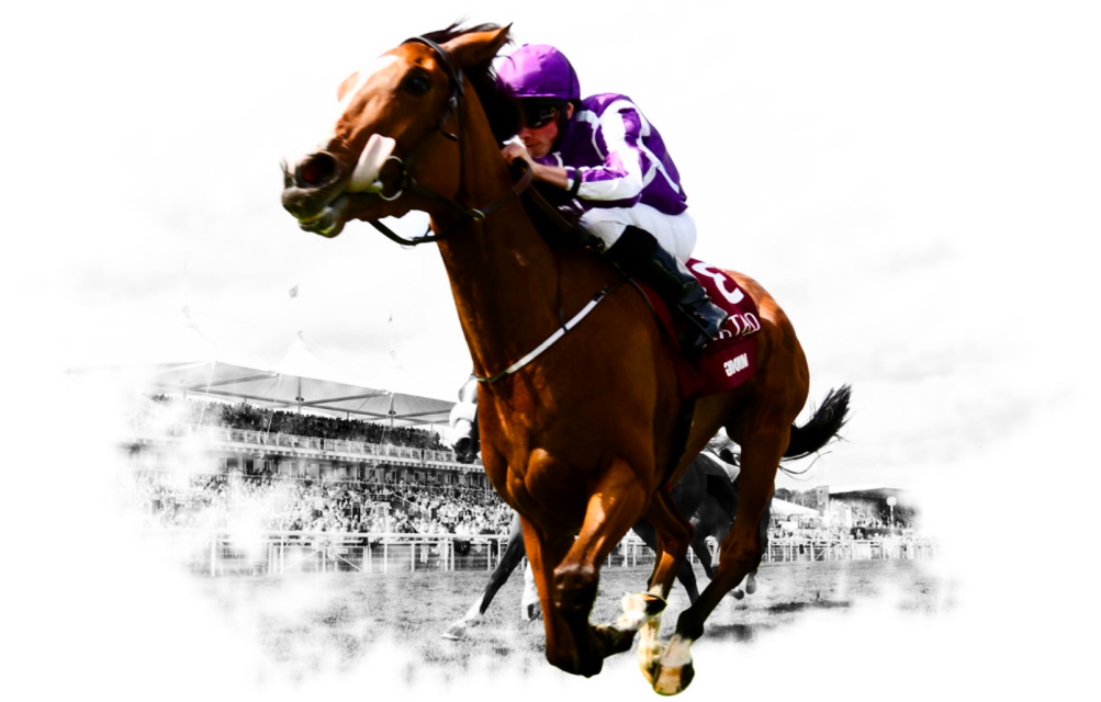 best online horse betting