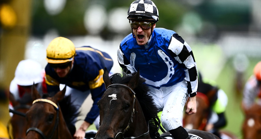 Horse Race Game - Horse Games Online